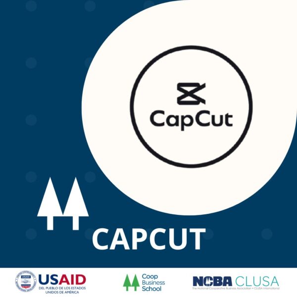 CapCut
